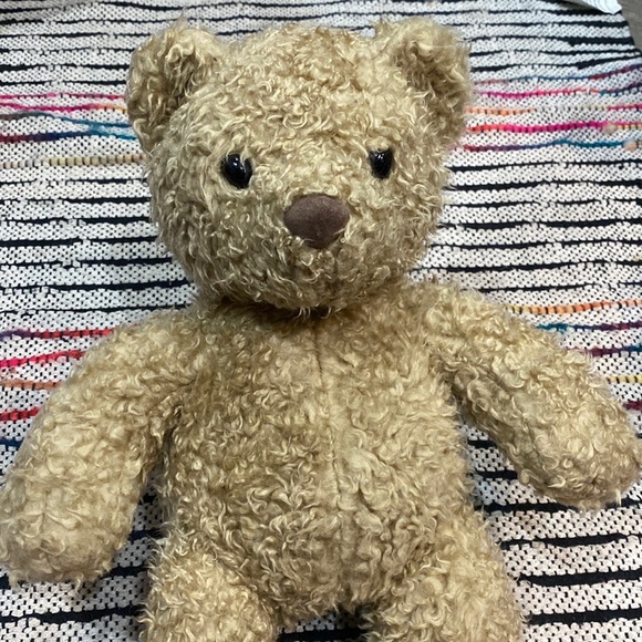 Build A Bear Workshop 25th Celebration Collection Bear - Picture 1 of 9